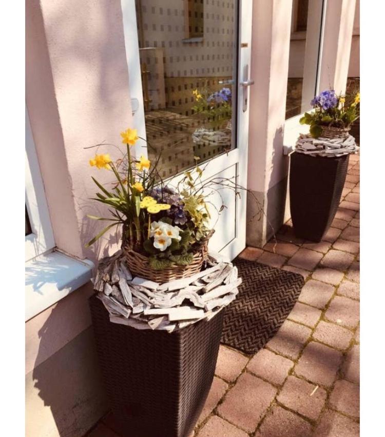 Ferienwohnung Marina An Der Romantischen Strasse Weikersheim Eksteriør billede
